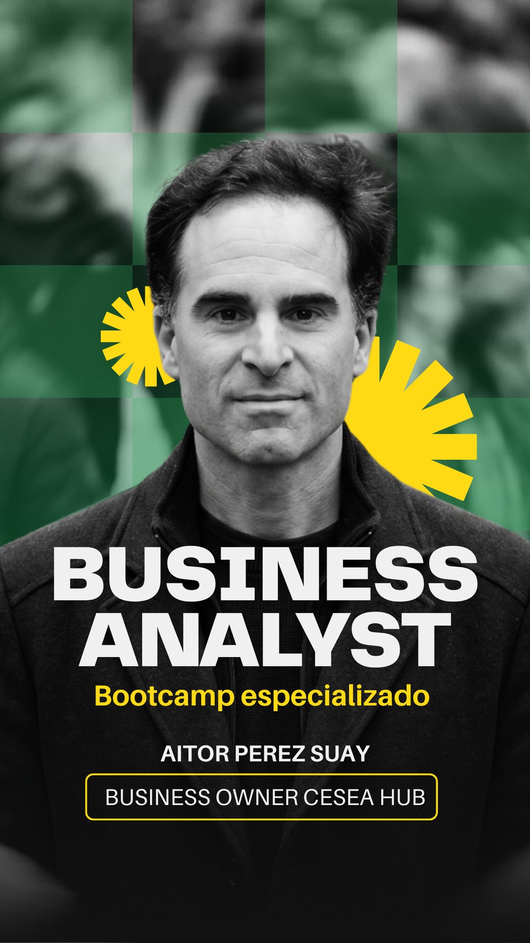 Business Analyst